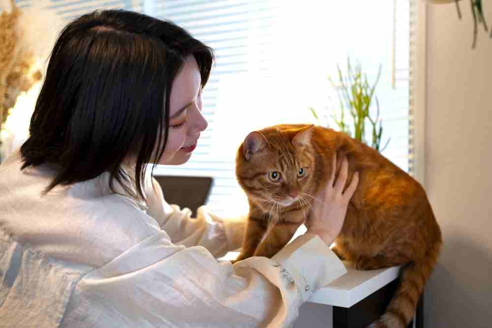 How Do Cats Know How to Get Back Home? Exploring Feline Homing Instincts