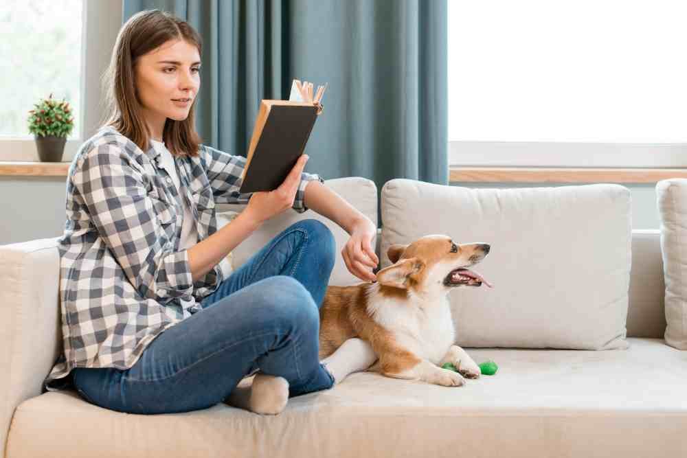 How to Heal Dog Prolapse at Home: A Comprehensive Guide